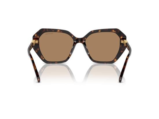 26FW 스와로브스키 선글라스 0SK6017 BROWN - SWAROVSKI