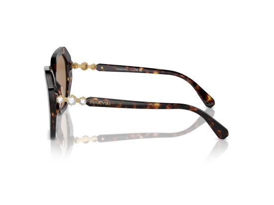 26FW 스와로브스키 선글라스 0SK6017 BROWN - SWAROVSKI