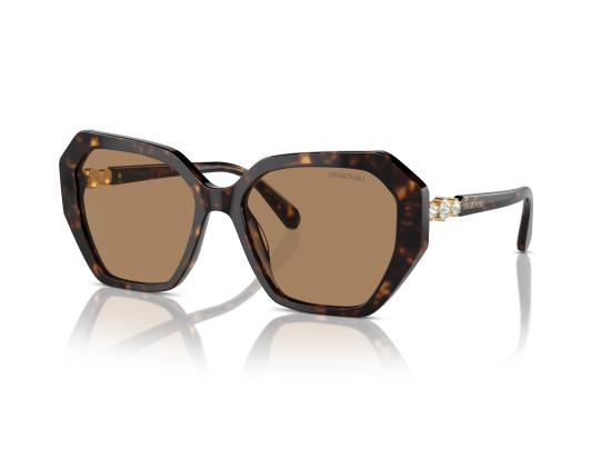 26FW 스와로브스키 선글라스 0SK6017 BROWN - SWAROVSKI