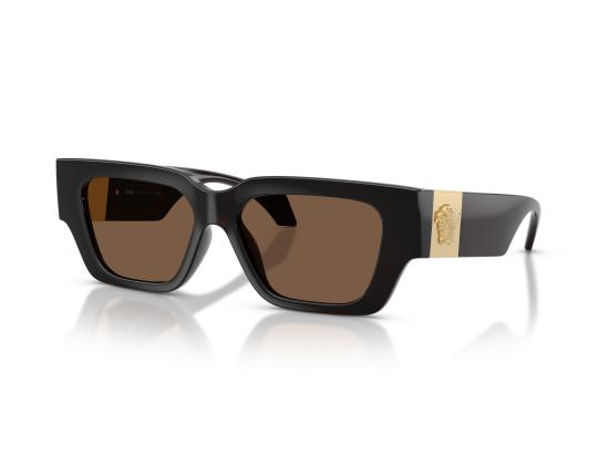 26FW 베르사체 선글라스 0VE4497U BROWN - VERSACE
