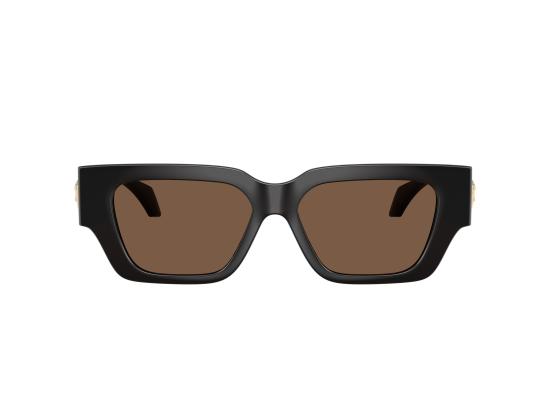 26FW 베르사체 선글라스 0VE4497U BROWN - VERSACE