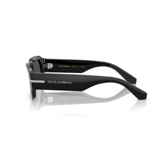 26FW 돌체앤가바나 선글라스 0DG4485 BLACK - DOLCE & GABBANA