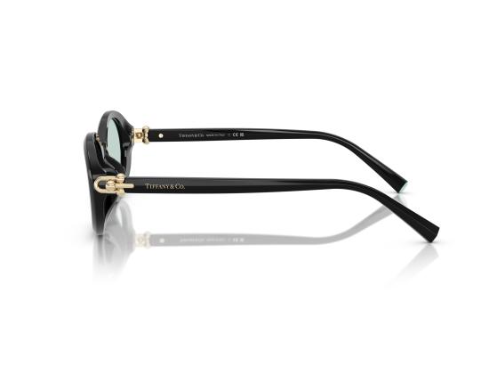 26FW 티파니앤코 선글라스 0TF4242D BLACK - TIFFANY & CO