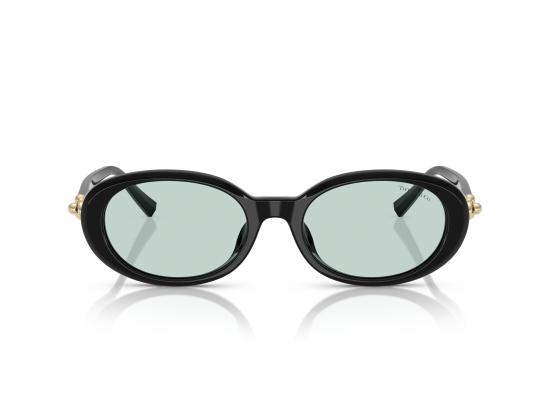 26FW 티파니앤코 선글라스 0TF4242D BLACK - TIFFANY & CO