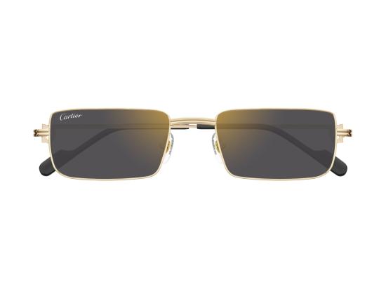 26FW 까르띠에 선글라스 CT0501S GOLD - CARTIER