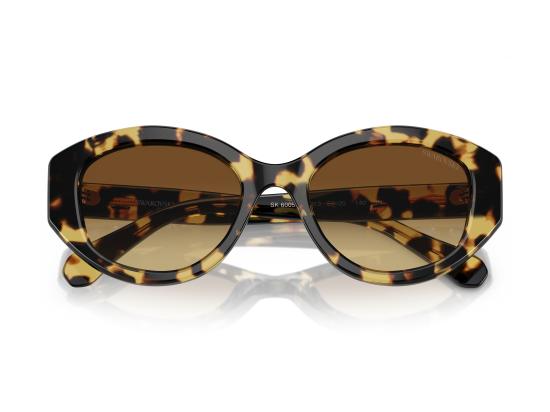 26FW 스와로브스키 선글라스 0SK6005 BROWN - SWAROVSKI