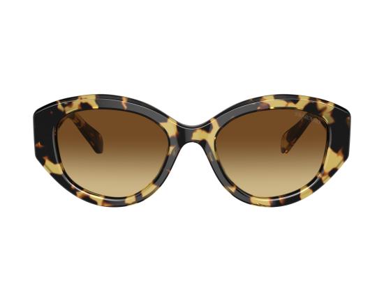26FW 스와로브스키 선글라스 0SK6005 BROWN - SWAROVSKI