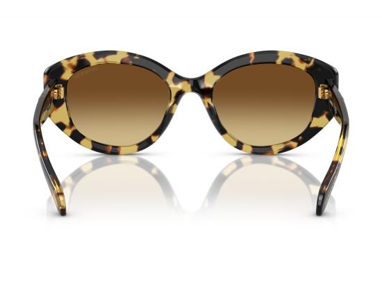 26FW 스와로브스키 선글라스 0SK6005 BROWN - SWAROVSKI