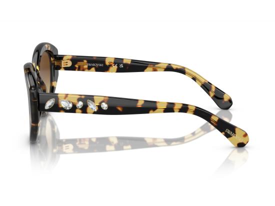 26FW 스와로브스키 선글라스 0SK6005 BROWN - SWAROVSKI