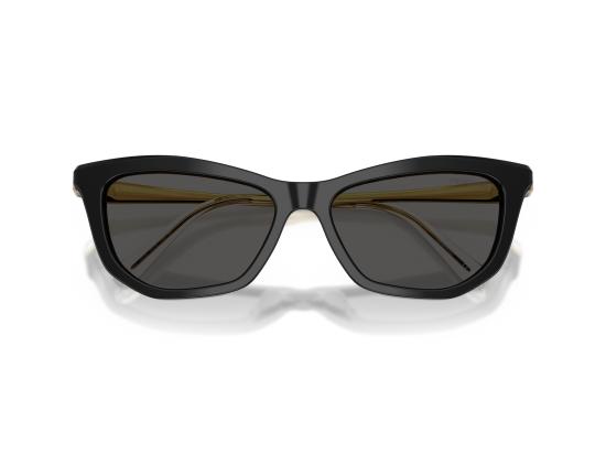 26FW 스와로브스키 선글라스 0SK6057 BLACK - SWAROVSKI