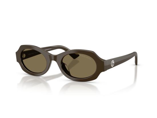26FW 조르지오 아르마니 선글라스 0AR8245HU BROWN - GIORGIO ARMANI