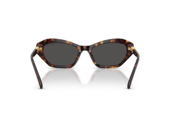 26FW 스와로브스키 선글라스 0SK6048 BROWN - SWAROVSKI