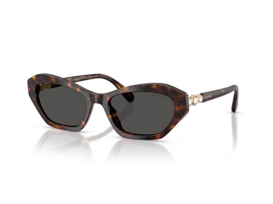 26FW 스와로브스키 선글라스 0SK6048 BROWN - SWAROVSKI