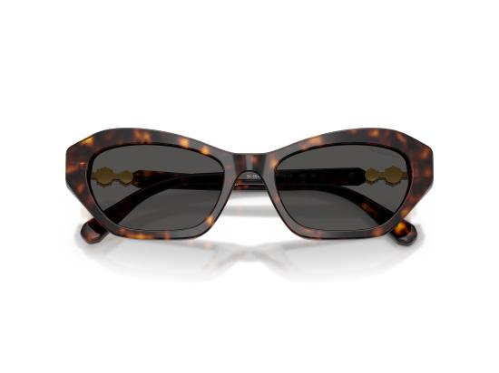 26FW 스와로브스키 선글라스 0SK6048 BROWN - SWAROVSKI