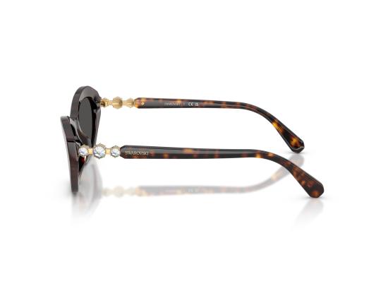 26FW 스와로브스키 선글라스 0SK6048 BROWN - SWAROVSKI