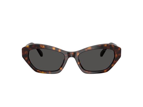26FW 스와로브스키 선글라스 0SK6048 BROWN - SWAROVSKI