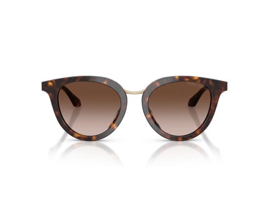 26FW 조르지오 아르마니 선글라스 0AR8252U BROWN - GIORGIO ARMANI
