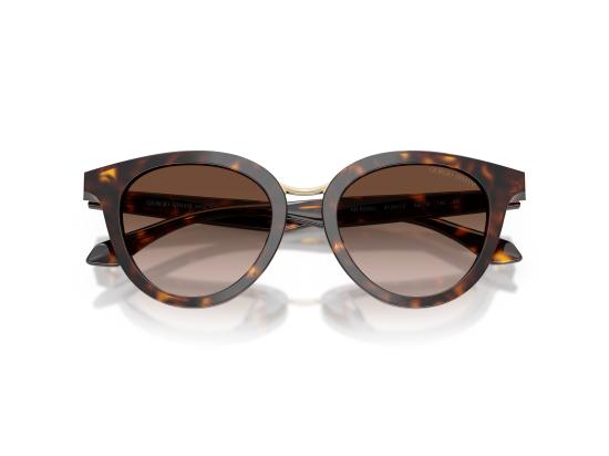 26FW 조르지오 아르마니 선글라스 0AR8252U BROWN - GIORGIO ARMANI