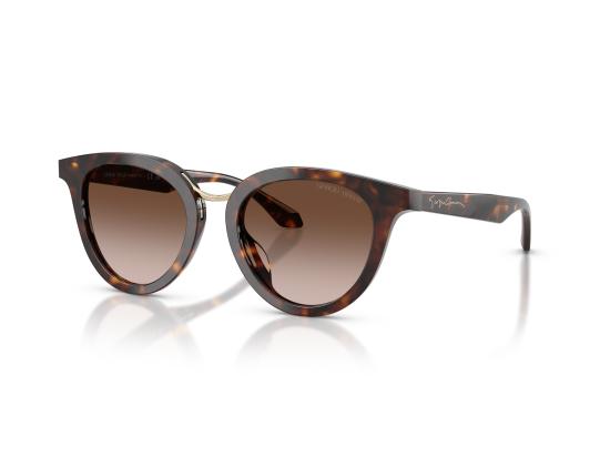 26FW 조르지오 아르마니 선글라스 0AR8252U BROWN - GIORGIO ARMANI