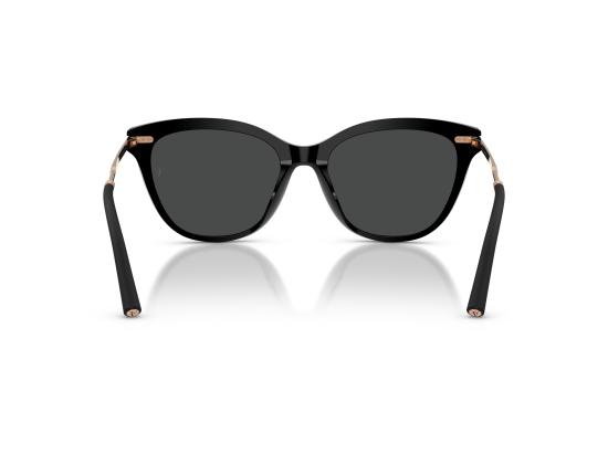 26FW 올리버피플스 선글라스 0OV5597SU BLACK - OLIVER PEOPLES
