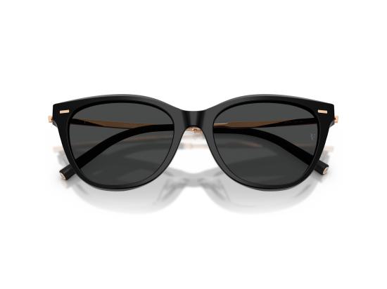 26FW 올리버피플스 선글라스 0OV5597SU BLACK - OLIVER PEOPLES