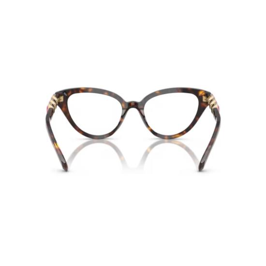 26FW 스와로브스키 안경 0SK2028 BROWN - SWAROVSKI