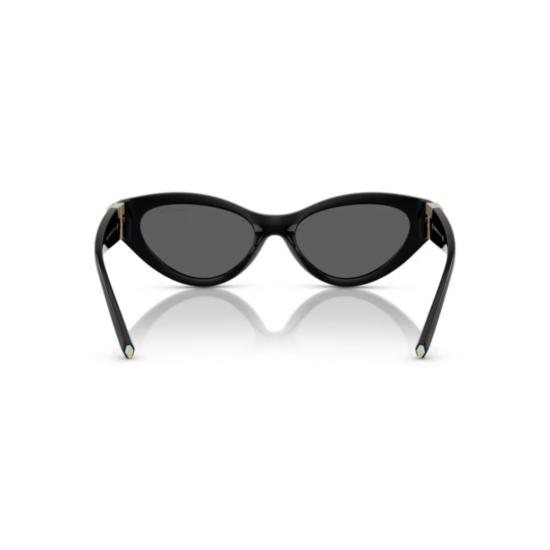 26FW 티파니앤코 선글라스 0TF4225U BLACK - TIFFANY & CO