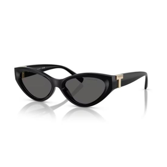 26FW 티파니앤코 선글라스 0TF4225U BLACK