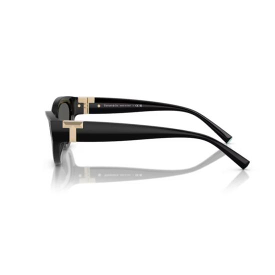 26FW 티파니앤코 선글라스 0TF4225U BLACK - TIFFANY & CO