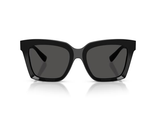 26FW 돌체앤가바나 선글라스 0DG4498 BLACK - DOLCE & GABBANA