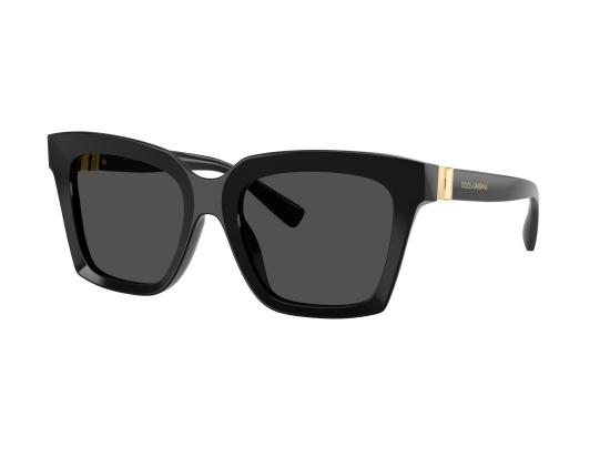 26FW 돌체앤가바나 선글라스 0DG4498 BLACK