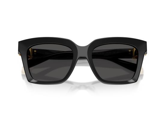 26FW 돌체앤가바나 선글라스 0DG4498 BLACK - DOLCE & GABBANA