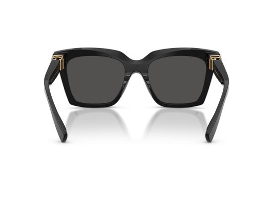 26FW 돌체앤가바나 선글라스 0DG4498 BLACK - DOLCE & GABBANA