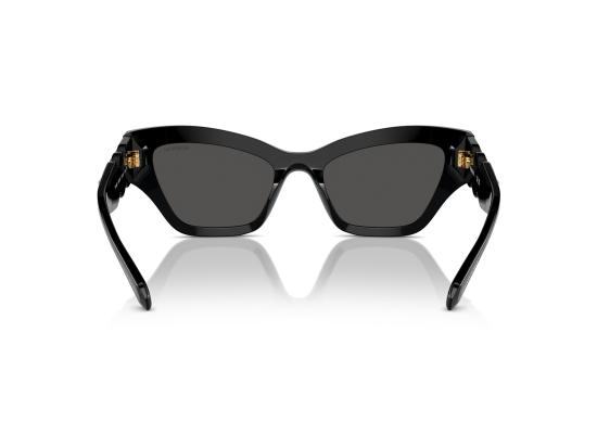 26FW 스와로브스키 선글라스 0SK6021 BLACK - SWAROVSKI