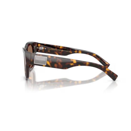 26FW 돌체앤가바나 선글라스 0DG4509 BROWN - DOLCE & GABBANA