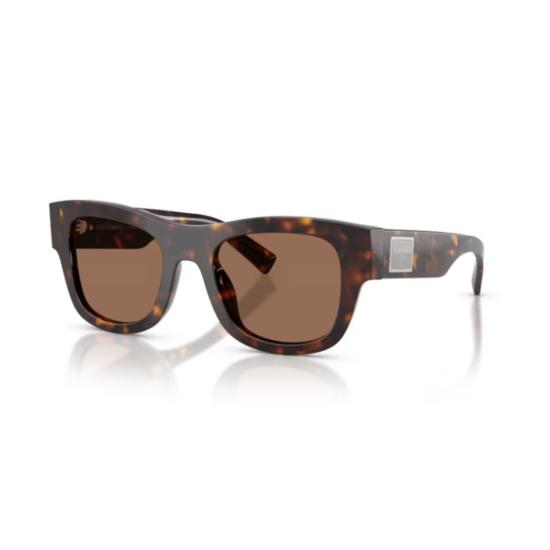 26FW 돌체앤가바나 선글라스 0DG4509 BROWN