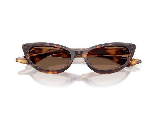 26FW 올리버피플스 선글라스 0OV5621SU BROWN - OLIVER PEOPLES