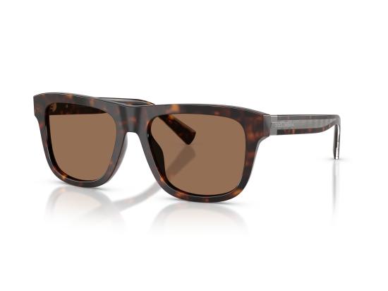 26FW 돌체앤가바나 선글라스 0DG4545 BROWN - DOLCE & GABBANA
