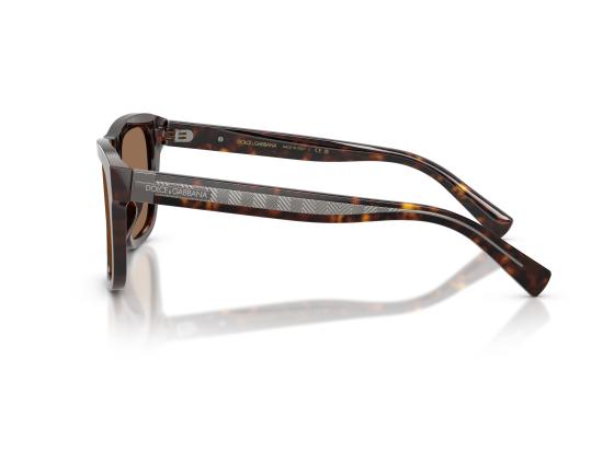 26FW 돌체앤가바나 선글라스 0DG4545 BROWN - DOLCE & GABBANA