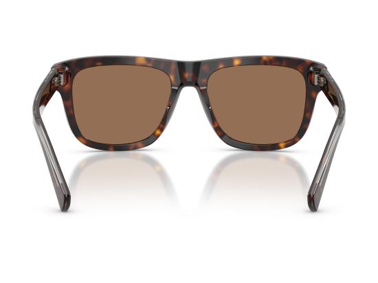 26FW 돌체앤가바나 선글라스 0DG4545 BROWN - DOLCE & GABBANA