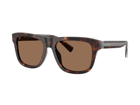 26FW 돌체앤가바나 선글라스 0DG4545 BROWN