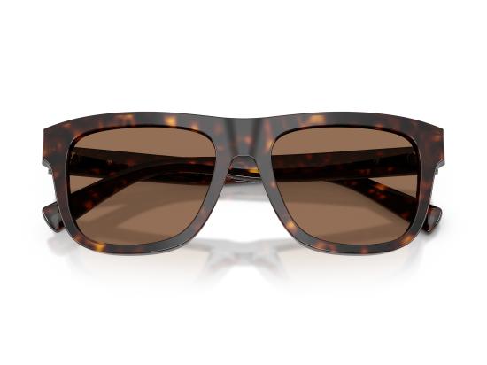 26FW 돌체앤가바나 선글라스 0DG4545 BROWN - DOLCE & GABBANA