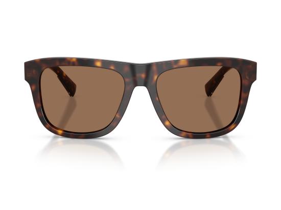 26FW 돌체앤가바나 선글라스 0DG4545 BROWN - DOLCE & GABBANA
