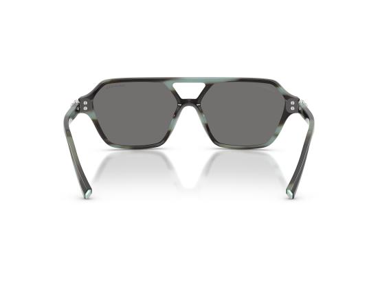 26FW 티파니앤코 선글라스 0TF4264U BROWN - TIFFANY & CO