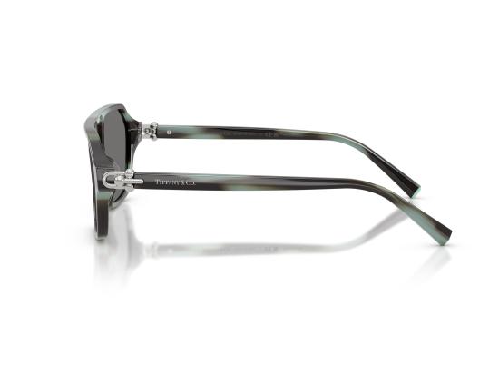 26FW 티파니앤코 선글라스 0TF4264U BROWN - TIFFANY & CO