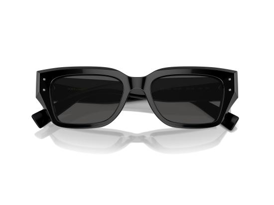 26FW 돌체앤가바나 선글라스 0DG4462 BLACK - DOLCE & GABBANA