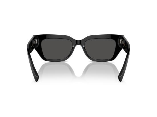26FW 돌체앤가바나 선글라스 0DG4462 BLACK - DOLCE & GABBANA