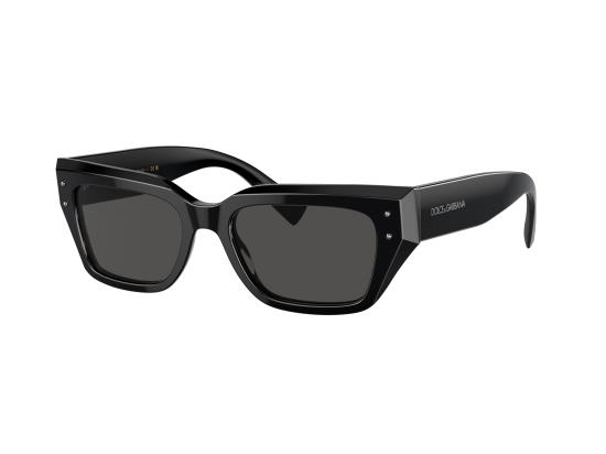 26FW 돌체앤가바나 선글라스 0DG4462 BLACK