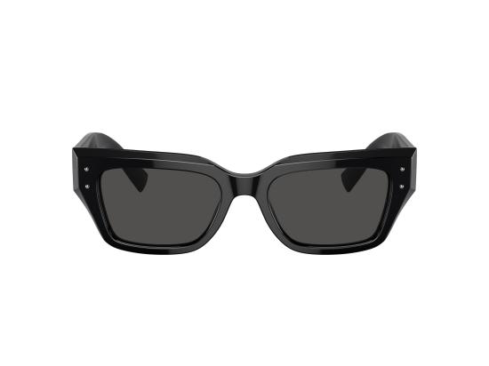 26FW 돌체앤가바나 선글라스 0DG4462 BLACK - DOLCE & GABBANA