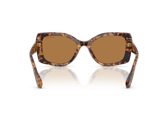 26FW 스와로브스키 선글라스 0SK6058U BROWN - SWAROVSKI